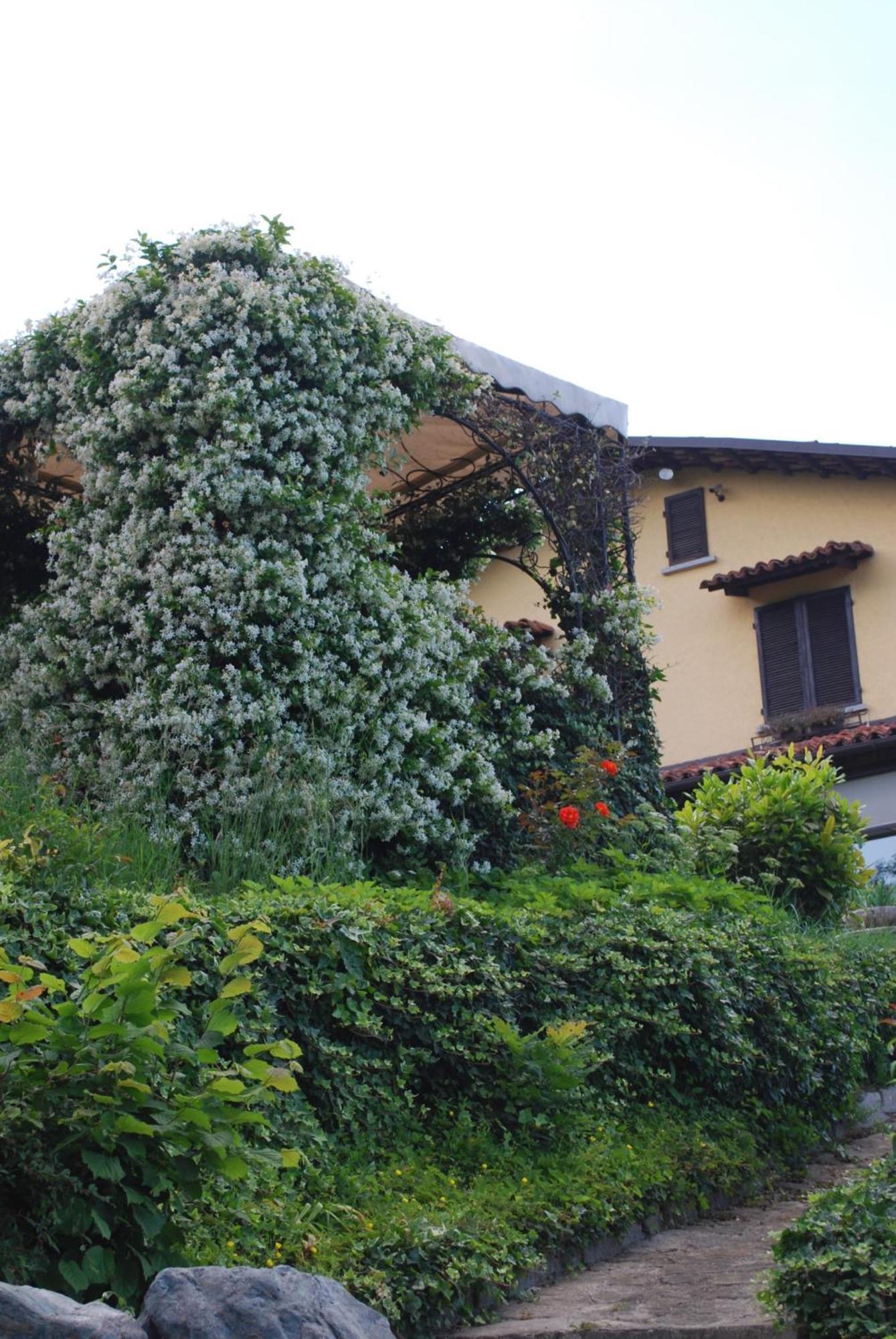 B&B Casa Margot Neive Esterno foto
